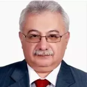 Aliheydar Rzayev (Board Member at EurAsia Gulf)